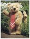 (355) Teddy Bears / Ours En Peluche - Speelgoed & Spelen