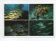 Maldives: Poisson Bluestripe Snapper, Yellow Goatfish, Oriental Sweetlips, Yellowfin Fusilier (18-1761) - Maldive