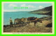 AGRICULTURE, ATTELAGES DE BOEUF - A HABITANT OX CART AT BELLE ANSE, QUÉBEC - G. P. -  H. V. HENDERSON - - Attelages