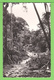 OUBANGUI-CHARI / R.C.A. CENTRAFRIQUE / LA FORET .....Carte Vierge / HOA GUI N° 146 - Centrafricaine (République)