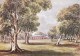 Captain Sturt's Home, The Grange C 1849, Adelaide In Watercolour, Unused - Adelaide