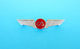 CA ... United States Beautifull Unkown Enameled Pilot Wings Badge * USA Airlines US Airline Airways - Airplanes