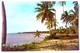 #305   Beach Scene At Guanajibo - PUERTO RICO Caribbean Islands - US Postcard - Sonstige & Ohne Zuordnung
