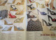 Delcampe - ERN223 Catalogue De La Marque De Chaussures ERNEST PRINTEMPS ETE 2003 L'ex Spécialiste Parisien Du Talon-aiguille - Schoenen