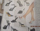 Delcampe - ERN223 Catalogue De La Marque De Chaussures ERNEST AUTOMNE HIVER 2002 2003 L'ex Spécialiste Parisien Du Talon-aiguille - Chaussures