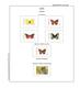 Suplemento Filkasol TEMATICA MARIPOSAS 2005 - Montado Con Filoestuches HAWID Transparentes - Pre-Impresas