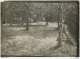 Delcampe - 3 Rares Photos Du Parc Du Chateau De MAISON ROUGE (77) Prise Vers 1915/1920 - Alte (vor 1900)