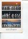 (10) Australia (with Stamp At Back Of Card) - VIC - Philip Island Little Penguins - Mornington Peninsula