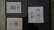 Delcampe - Grosse Collection De République Tchèque ** En Timbres Et Blocs. 5 De 5 Port Offert Dès 50 Euros D'achats. - Collections (en Albums)