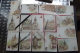 Cp Le Vieux Paris Lot 27 Cartes Signé Robida - Robida