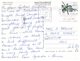 (90) Australia (with Stamp At Back Of Card) - NT - King's Canyon - The Red Centre