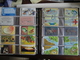 Delcampe - Nice Collection Of 638 Phonecards From Brasil - Brasil Telecom With Many Nices Sets And Thematics - Brazil