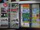 Delcampe - Nice Collection Of 638 Phonecards From Brasil - Brasil Telecom With Many Nices Sets And Thematics - Brazil