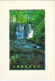 Ireland - Waterfall -  (17 X 12 Cm.) - John Hinde - Andere & Zonder Classificatie