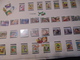 TIMBRES DU MONDE ENTIER  DISNEY EN 4 PLANCHES DE PRESENTATION NEUFS PLUS 1 DE SCOUTISME - Disney