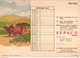 PORTUGAL MATA BORRAO BUVARD BLOTTER  20.8 X 14.7 CMS - 1940 MEDECINE ADVERTISING ( 2 SCANS ) - Farben & Lacke