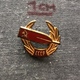 Badge Pin ZN006984 - Rowing / Kayak / Canoe Soviet Union (USSR SSSR CCCP) Federation Association Union - Roeisport