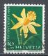 Switzerland 1964. Scott #B310 (U) Flower, Daffodil * - Oblitérés