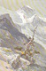 Jungfrau Sign. Compton         (P-141-70208) - Compton, E.T.