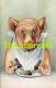 CPA ILLUSTRATEUR COCHON HUMANUISE ARTIST SIGNED HUMANIZED PIG - Schweine