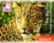 South Africa 2017 Big Five Booklet 2017.06.09 MNH - Cuadernillos