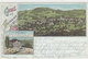 Gruss Aus Wolfhalden Mit Hotel Friedberg - Litho - 1903       (P-142-60729) - Other & Unclassified