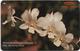 Singapore - Dendrobium Hawaiian Beauty, Orchids, 11SIGC, 1991, 630.000ex, Used - Singapur