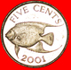 # FISH: BERMUDA ★ 5 CENTS 2001! LOW START ★ NO RESERVE! - Bermuda