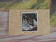 Timbres Neuf 1972 > N°1703 - Y&T - Claude Monet - Coté 1,20€ - Neufs