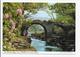 Modern Card - The Old Weir Bridge, Lakes Of Killarney,Co. Kerry, Ireland. - John Hinde - Kerry