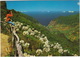 Encumeada - Vista De S. Vicente  -  Madeira - Madeira