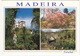 Funchal - Igreja Do Monte E Jardins Circundantes -  Madeira - Madeira