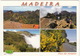 Pico Do Areeiro  1810 Mts - Madeira - Madeira