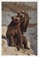 34896 Russia, Circuled Stationery Card 1964 Showing 2 Bears, 2 Ours, 2 Baren - Bären