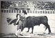 Delcampe - 20 Postales De Corrida Completa De Toros + Entrada De Toros Valencia De 1928 - Corridas