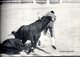 Delcampe - 20 Postales De Corrida Completa De Toros + Entrada De Toros Valencia De 1928 - Corrida