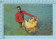 Bahamas -  Hawksbill Turtle, Animated , 1971-  Postcard,  Carte Postale - Bahamas