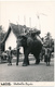 LAOS - Carte Photo - Eléphants, Sentinelles Royales - Laos