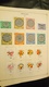 Delcampe - F0921 GROS LOT FEUILLES TIMBRES HONGRIE A TRIER COTE++ DÉPART 10€ - Collections (en Albums)