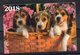CALENDRIER - PETIT FORMAT - 2018 - LITUANIE - LITHUANIA - CHIENS - DOGS - - Small : 2001-...