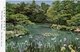 JAPAN-THE GARDEN IN SUMMER-THE HEIAN SHRINE- Non Viaggiata - Altri & Non Classificati