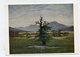 PAINTING - AK 326063 Caspar David Friedrich - Einsamer Baum - Paintings