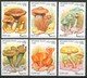 1998 Afghanistan Funghi Mushrooms Champignons Full Set MNH** Excellent Quality B532-95 - Mushrooms