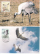 CHINA 1994-15 Stamps MC-18 Maximum Postcard Cranes Jointly Isssued USA Bird - Cartoline Maximum