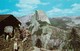 CARTE POSTALE ORIGINALE DE 9CM/14CM : YOSEMITE NATIONAL PARK CALIFORNIA THE LOOKOUT GLACIER POINT  USA - Yosemite