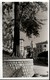 ! Foto Ansichtskarte, Photo Bordighera, 1941, Italien, Italy, Imperia - Imperia
