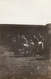 Photo Mai 1915 LANGEMARK (Langemark-Poelkapelle) - Soldats Allemands (A196, Ww1, Wk 1) - Langemark-Poelkapelle