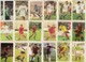 Beau Lot De 35 Images Le Monde Prodigieux Des Etoiles Du FOOTBALL EN MATCH (1971/72) Scan Recto-verso - Trading Cards