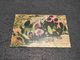 ANTIQUE POSTCARD UNITED STATES BLOSSOMS OF THE OPUNTIA CACTUS CIRCULATED 1953 - Cactusses