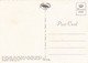 Postcard Half Moon Hotel Montego Bay Jamaica  My Ref  B22660 - Jamaica